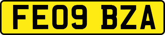 FE09BZA