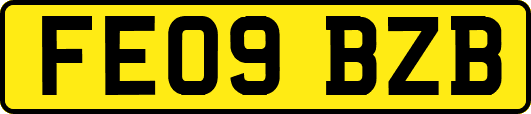 FE09BZB