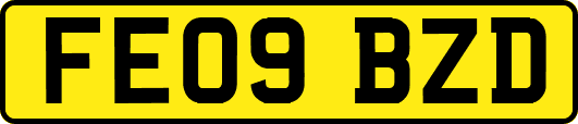 FE09BZD