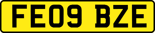 FE09BZE