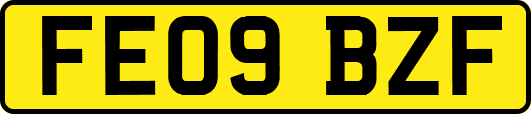 FE09BZF