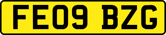 FE09BZG