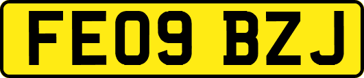 FE09BZJ