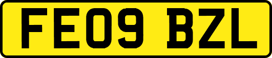 FE09BZL