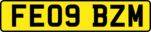 FE09BZM