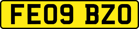 FE09BZO