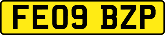 FE09BZP