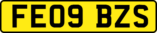 FE09BZS