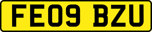 FE09BZU