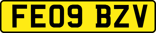 FE09BZV