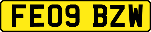 FE09BZW