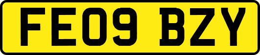 FE09BZY