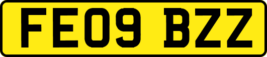 FE09BZZ