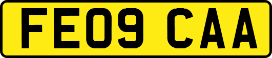 FE09CAA