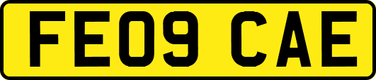 FE09CAE