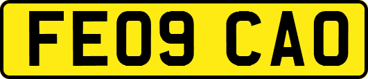 FE09CAO