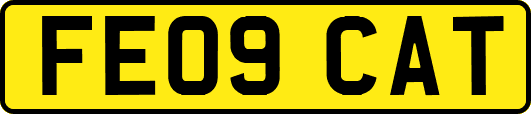 FE09CAT