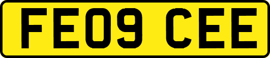 FE09CEE