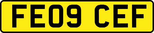 FE09CEF