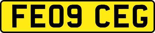 FE09CEG