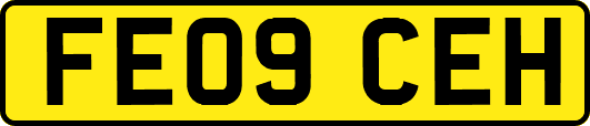 FE09CEH