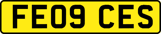 FE09CES