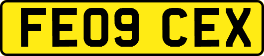 FE09CEX