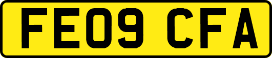 FE09CFA