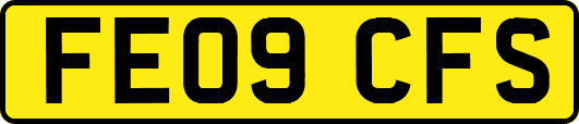 FE09CFS