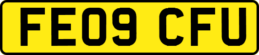 FE09CFU