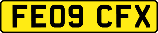 FE09CFX