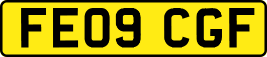 FE09CGF