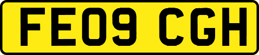 FE09CGH