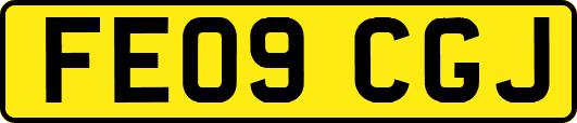 FE09CGJ