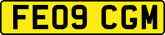 FE09CGM
