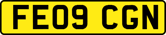 FE09CGN