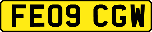 FE09CGW