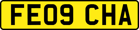 FE09CHA