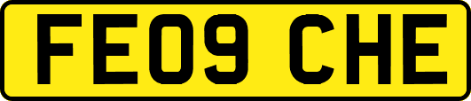 FE09CHE