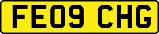FE09CHG
