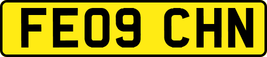 FE09CHN
