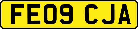 FE09CJA