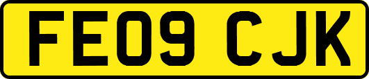FE09CJK