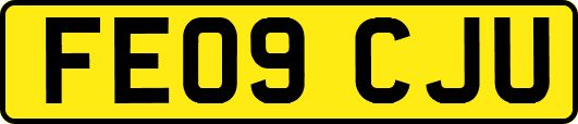 FE09CJU