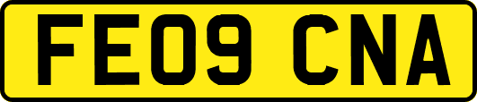 FE09CNA