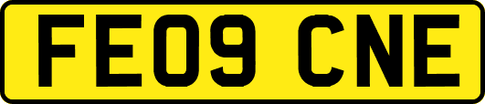 FE09CNE