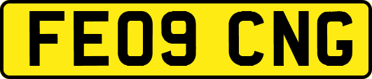 FE09CNG