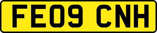 FE09CNH
