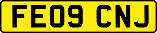 FE09CNJ