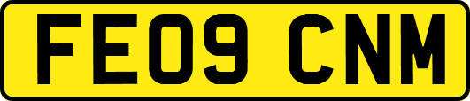 FE09CNM